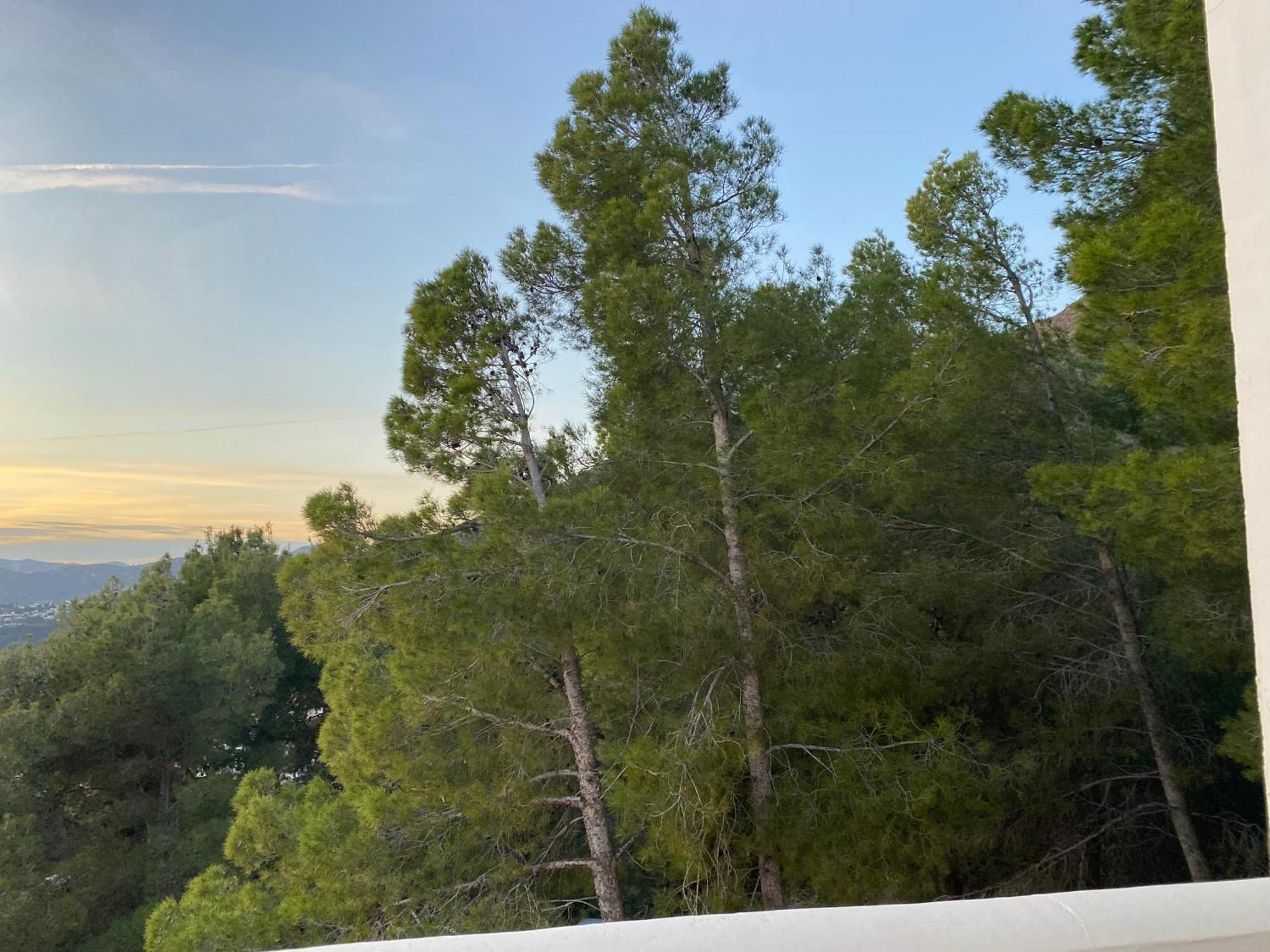 Precioso Apartamento Mandarinos Con Vistas Al Mar Нерха Экстерьер фото